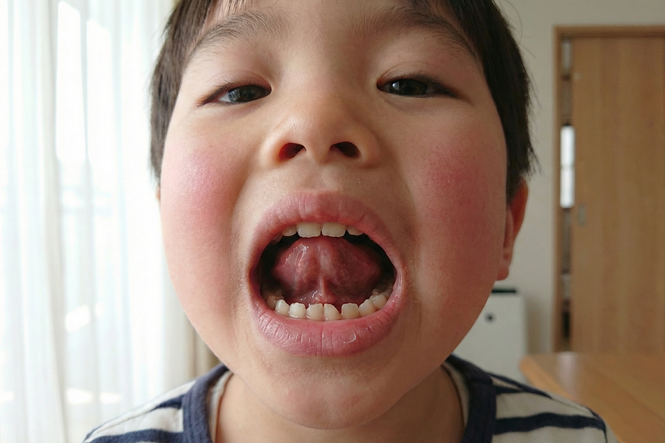 Gemini_Generated_Image_89jn6789jn6789jn