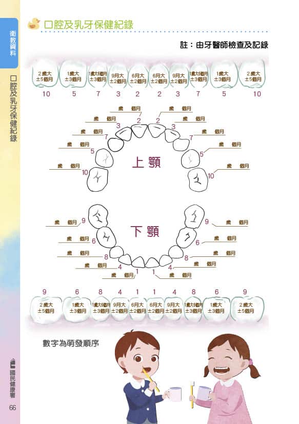 乳牙萌發順序
