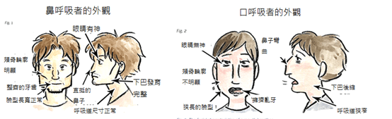 用口和鼻子呼吸差異造成的影響